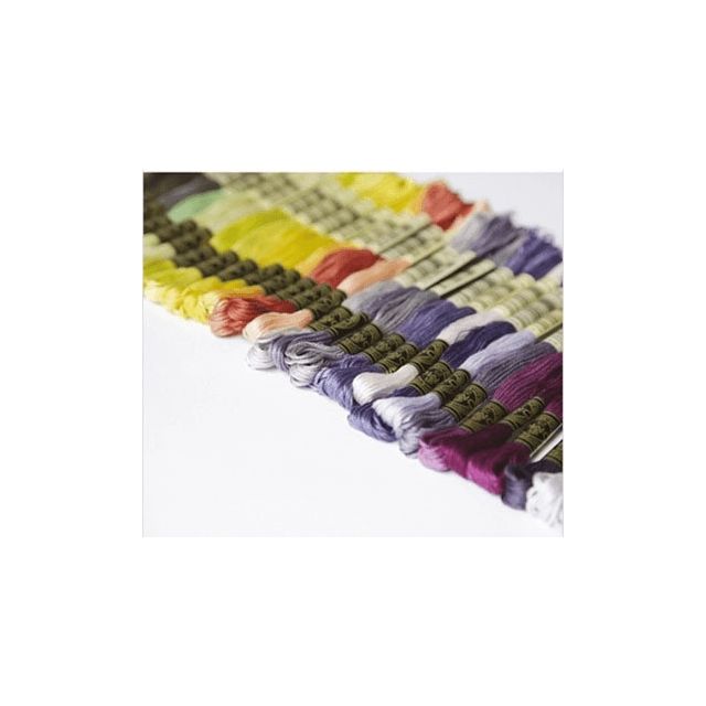 35 nieuwe kleuren Mouliné 117 Borduurzijde van DMC 011.117MCNIEUW