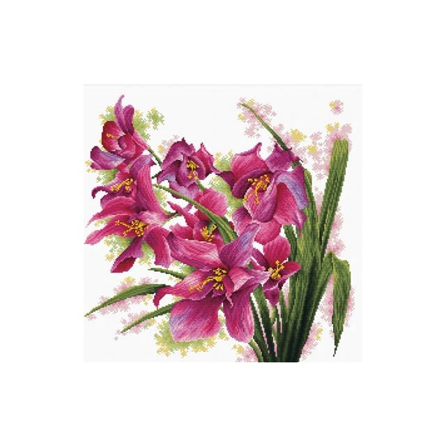 VOORBEDRUKT BORDUURPAKKET LOVELY ORCHIDS van Stitchcompanty nw-nc640-070