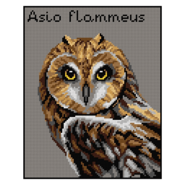 Uil bedrukt borduur gobelin 24x30cm van ORCHIDEA 089.3017H