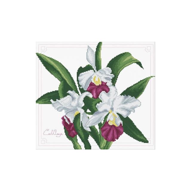 Orchidëen kruissteek borduurpakket 33x29cm van STITCHCOMPANY nw-nc340-009